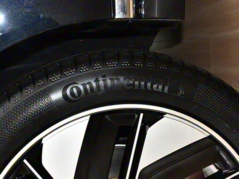 2025�� 636Max���Ȱ� 6��