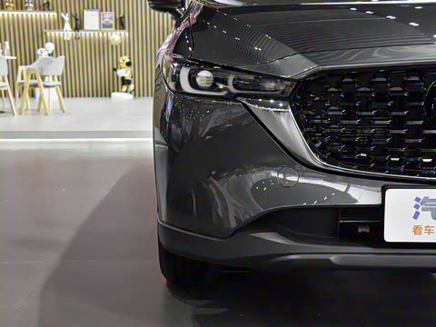 2025�� 2.0L �Զ�����������