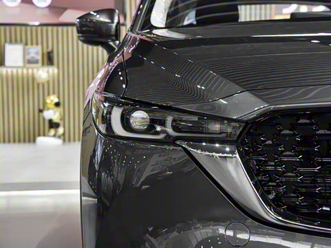 2025�� 2.0L �Զ�����������