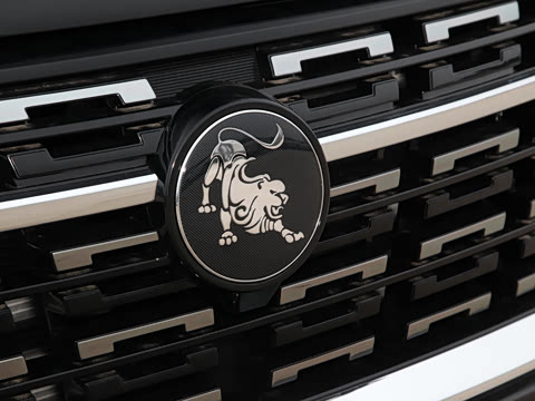 2022�� ʢ���� 1.5T �Զ����ΰ�����