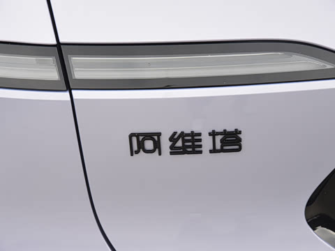 2025�� Max�����