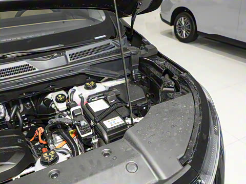 2025�� �콢��