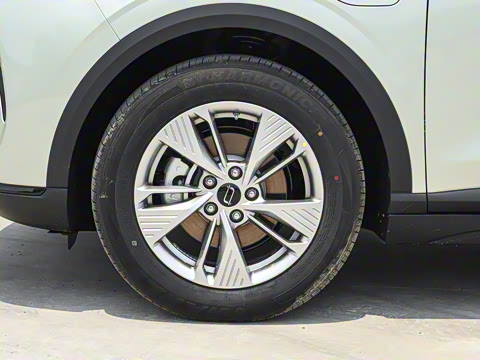 2025�� 565km ������