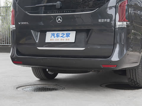 2024�� V 300 L ���������