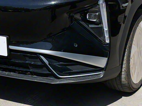 2025�� 3DHT 115km �ǽ���