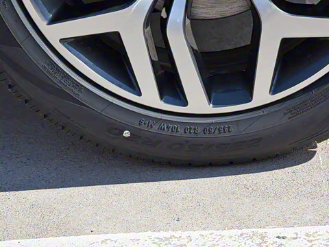 2021�� ����L P300e ������