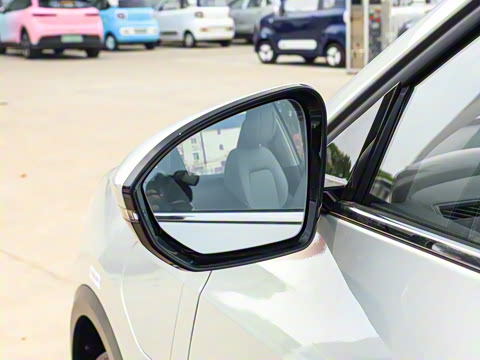 2025�� 565km ������