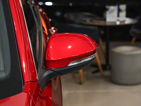 2025�� 300TSI DSG���������