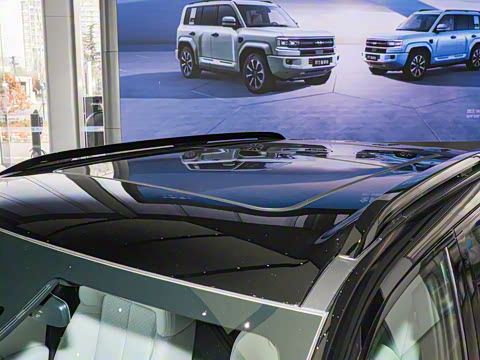 2025�� 501KM ����Max��