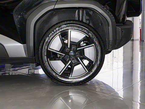 2025�� 501KM ����Max��