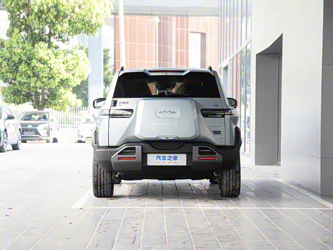 2025�� 501KM ����Max��