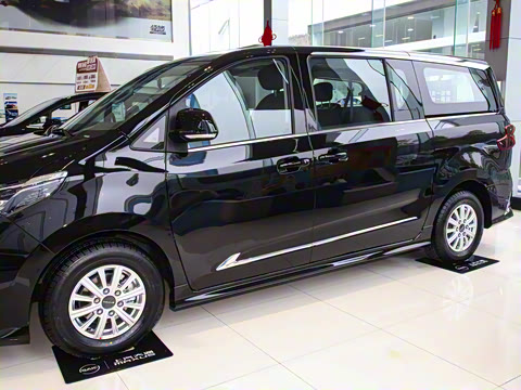 2025�� MAX 2.0T �Զ������� ���� 7��