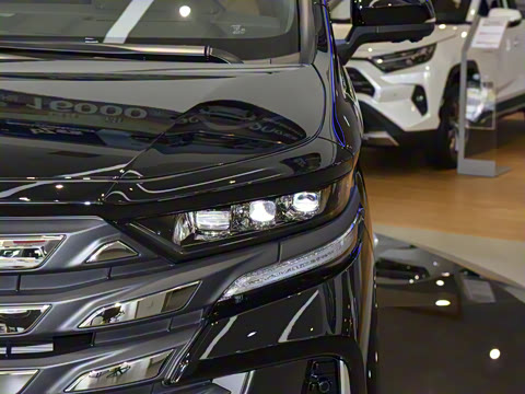 2025�� �ʹ� ˫�� 2.5L ī��������