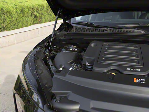 2025�� 25T �׽��