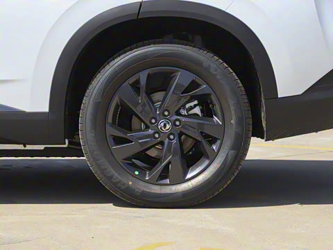 2025�� 518������