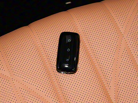 2025�� 60km EM-i ������