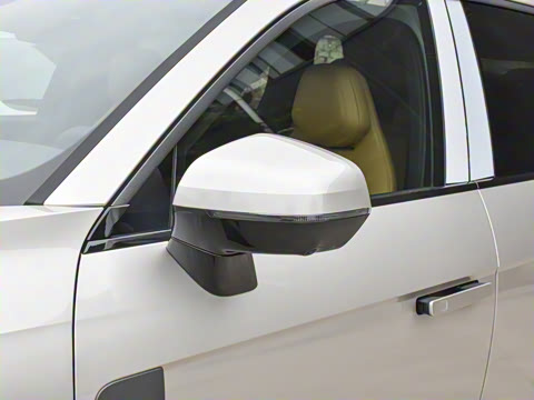 2021�� 2.0T PHEV Halo ����