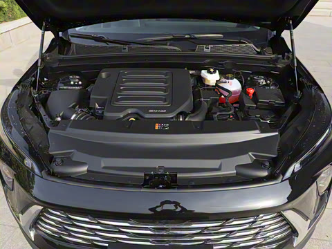 2025�� 25T �׽��