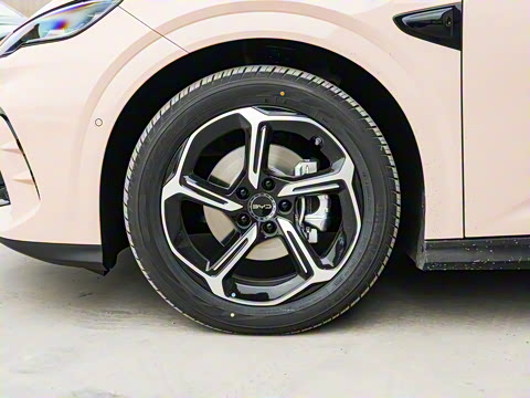 2025�� �Ǽݰ� 605���˰�