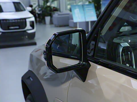 2023�� 2.0T ��������PRO