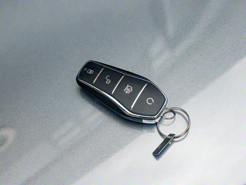 2023�� �ھ��� DM-i 55KM ������