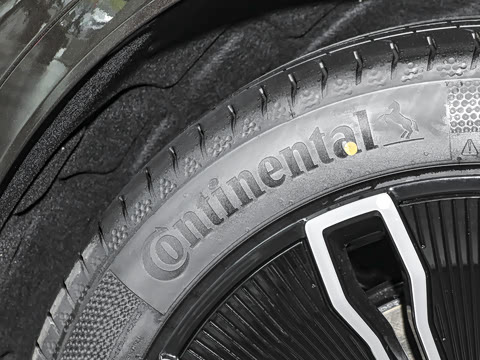 2024�� Max�����