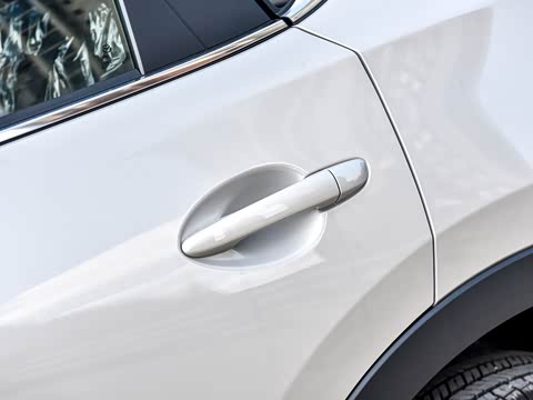 2025�� 2.0L �Զ���������Pro