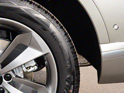 2023�� ������������