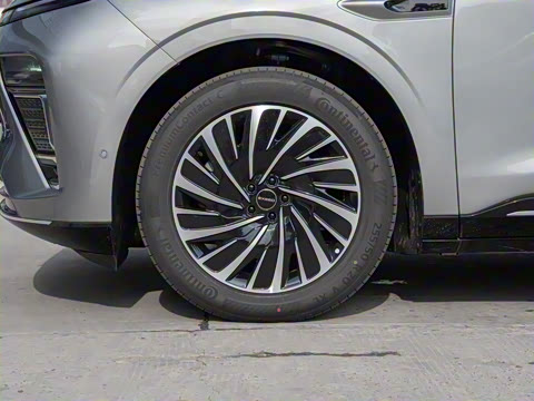 2025�� ���� 265 Max��������������ʻ