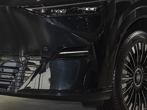 2025�� ���� 650������ Max