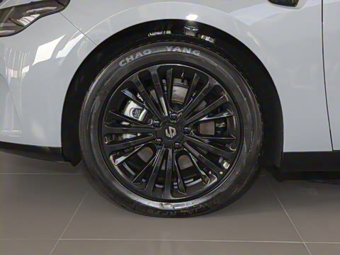 2024�� ���� 216������