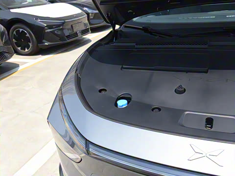 2025�� �������� Max �콢��