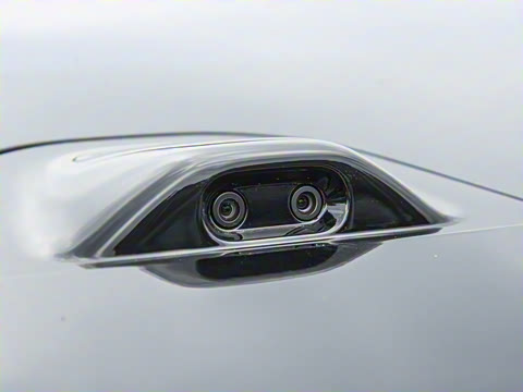 2025�� Max�����