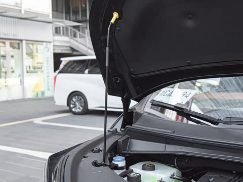 2025�� Ǭ��ϵ�� Ultra ͷ�Ȳ�