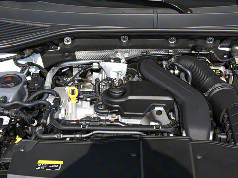 2025�� 300TSI DSG�����ǹ��