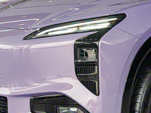 2025�� 730 Max������