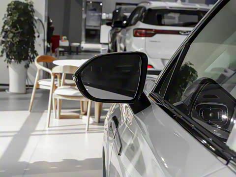 2025�� 1.5T 106KM������ 7�� �������