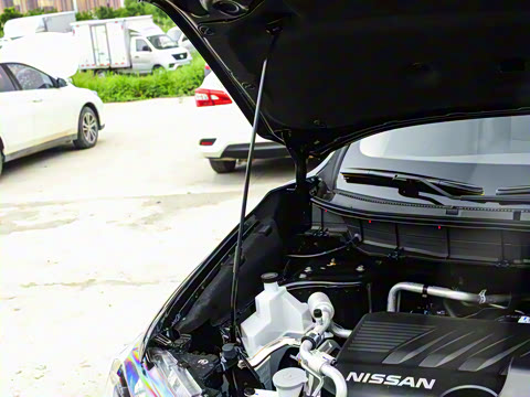 2025�� ���� 2.0L �������İ�