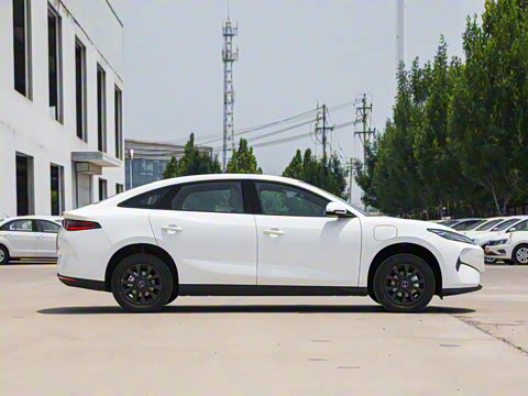 2025�� 520�ǻݰ�