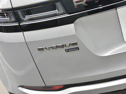 2021�� ����L P300e ������