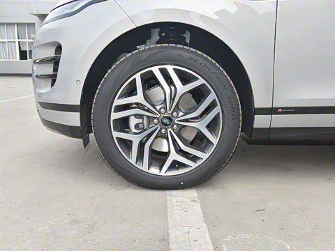 2021�� ����L P300e ������