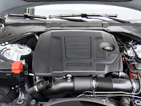 2022�� XFL 2.0T P250 ��������������