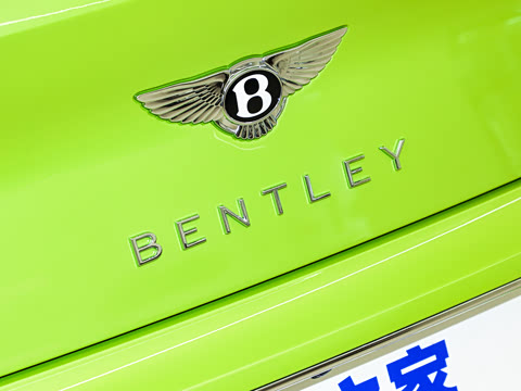 2024�� 4.0T GT V8