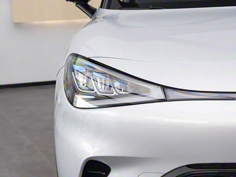 2026�� �鶯������