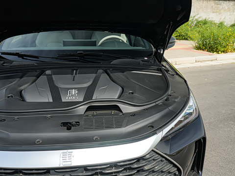 2025�� DM-i 175KM �캽��