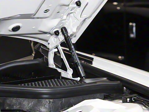 2025�� Black Badge