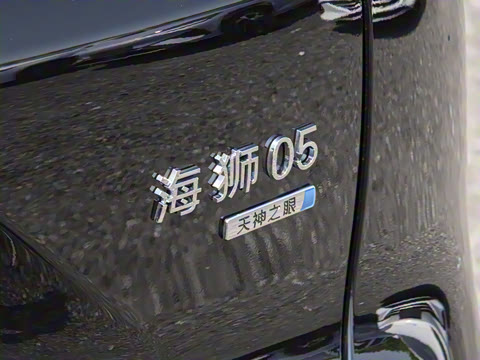 2025�� DM-i �Ǽݰ� 115KM�콢��