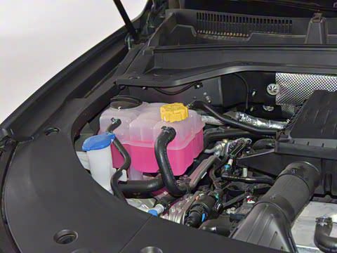 2025�� 200��������Pro����