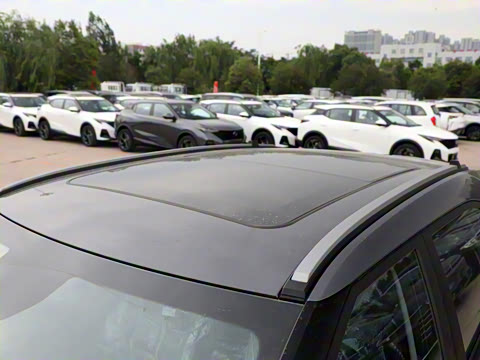 2025�� Ӱ�� 270T ������ ƽ������