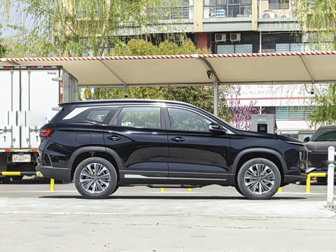 2025�� ��Ӣ�� 7��